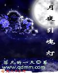 月夜引魂灯之领魂人(合作) 小说封面