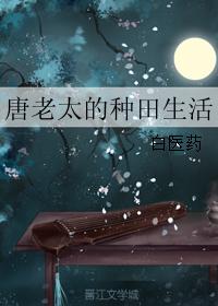 唐老太的种田生活小说封面